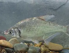 Jiuyou Sports-match效sfashion人如曽